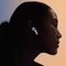 Apple AirPods 4 ANC Festive Pine Forest Melody