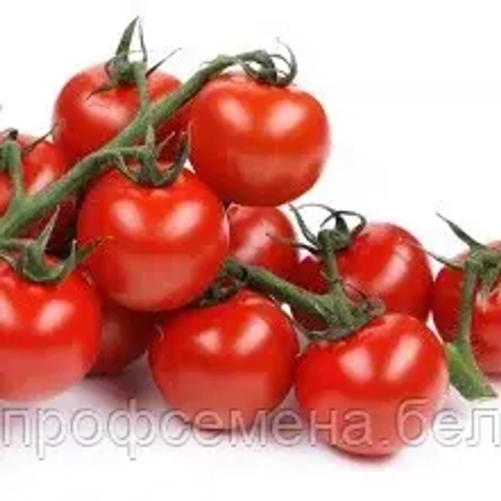 Томат черри Раунд F1 / Round F1 5шт.