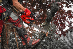 Аккумуляторная цепная пила Milwaukee M18 FTHCHS30-802 FUEL 4933479587