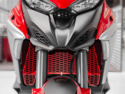 GR10 DBK RADIATORS PROTECTION (MTS V4)