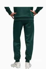 Штаны Puma Manchester City 25/26 KING Anthem - зеленый