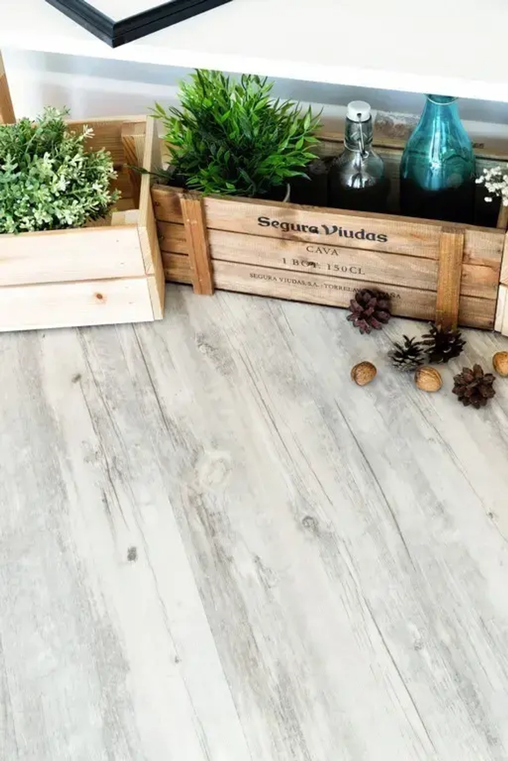 SPC ламинат Alpine Floor Акация CLICK