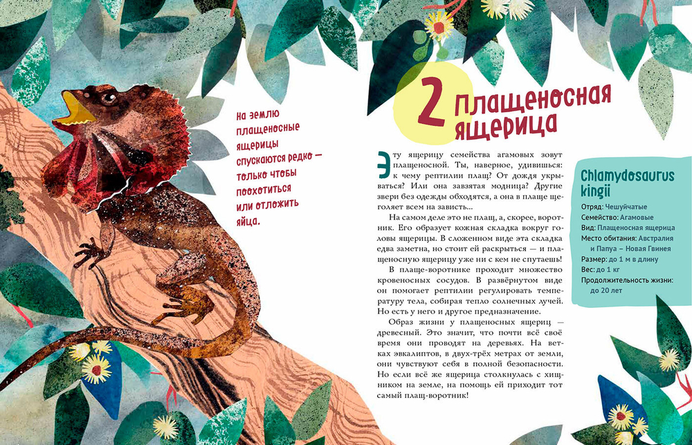 Ящерицы. Великолепная десятка