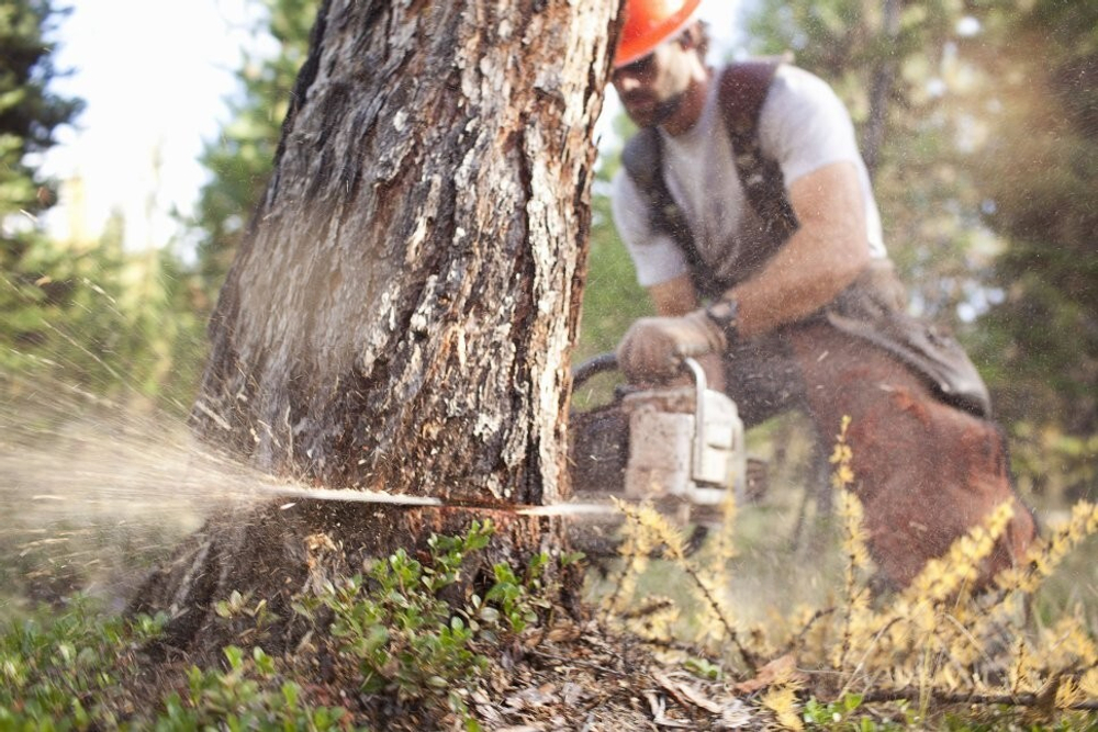 Бензопила Stihl MS 230 C-BE шина 40 см