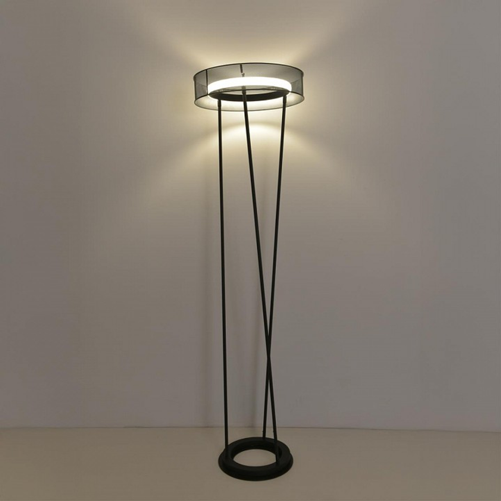 Торшер Lumion LEDIO 8370/30FL