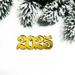 Декор акриловый "2025", 5,5*2,5 см