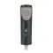 SE Electronics RNT