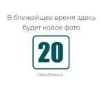 Опция ИБП EVADA Параллельный кабель 10м для HQ 33 серии в 20kva.ru